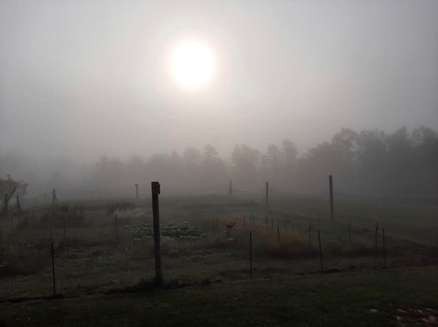 12195 Hwy 587, Beattyville, KY 41311