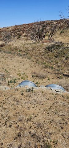 98th Street East, Juniper Hills, CA 93543