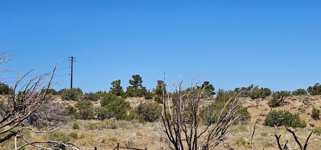 98th Street East, Juniper Hills, CA 93543