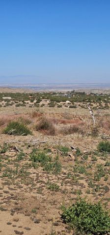 98th Street East, Juniper Hills, CA 93543