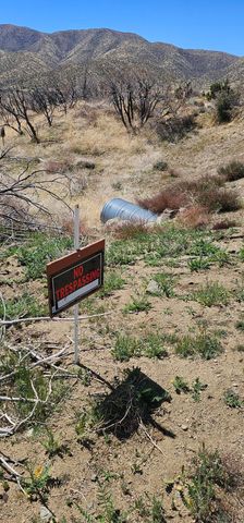 98th Street East, Juniper Hills, CA 93543