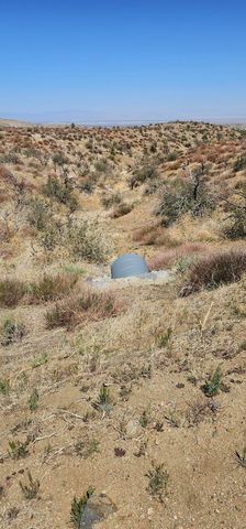 98th Street East, Juniper Hills, CA 93543