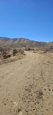 98th Street East, Juniper Hills, CA 93543