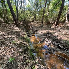 TBD Cr 150, Centerville, TX 75833