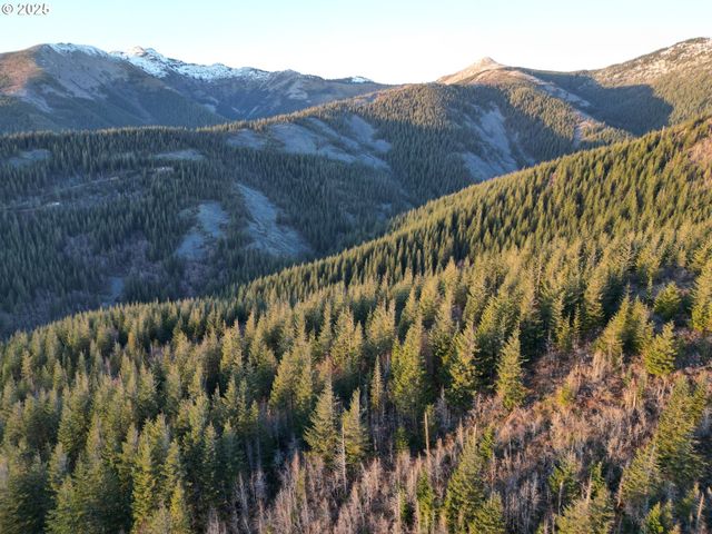 Skamania Mines Rd, Washougal, WA 98671