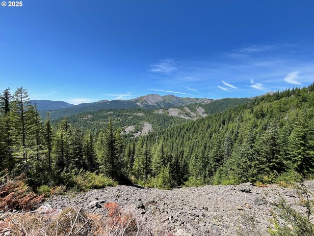 Skamania Mines Rd, Washougal, WA 98671