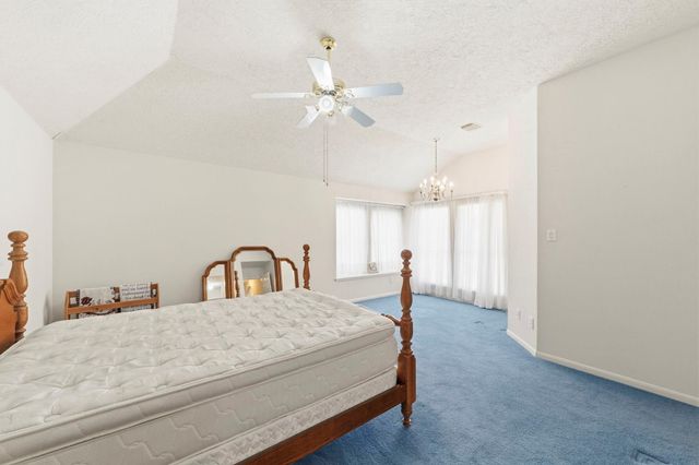 21318 Timber Pines Drive, Spring, TX 77388