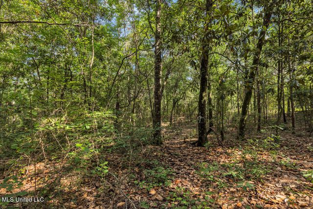 2011 Riverwood Drive, Vancleave, MS 39565