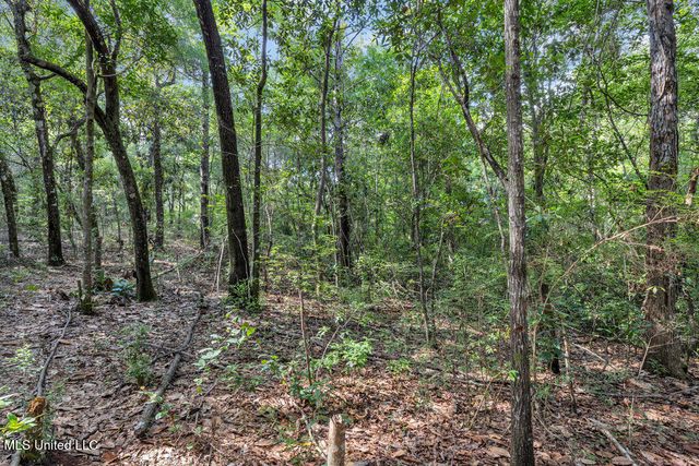 2011 Riverwood Drive, Vancleave, MS 39565