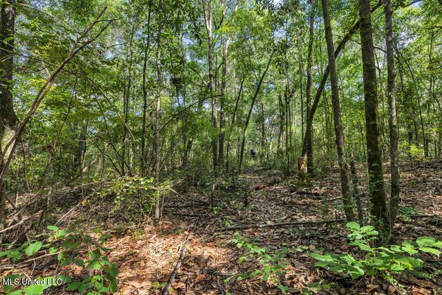 2011 Riverwood Drive, Vancleave, MS 39565