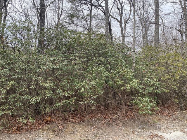 Lot B Pinebluff Court, Hendersonville, NC 28787