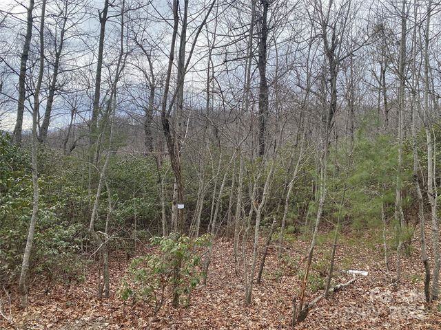 Lot B Pinebluff Court, Hendersonville, NC 28787