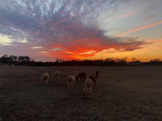 TBD Spanish Oak TRL, Dripping Springs, TX 78620