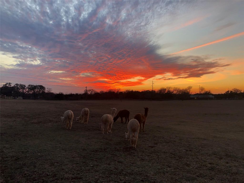TBD Spanish Oak TRL, Dripping Springs, TX 78620