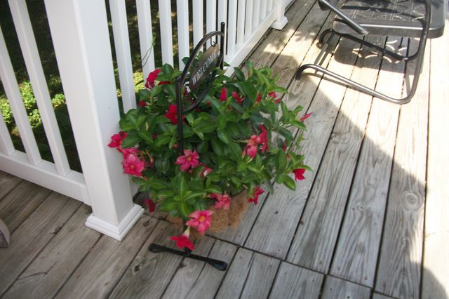 411 5th Ave, Columbia, TN 38401