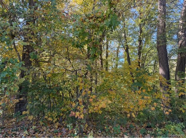 Townsend Townsend Road, Maybee Village, MI 48159