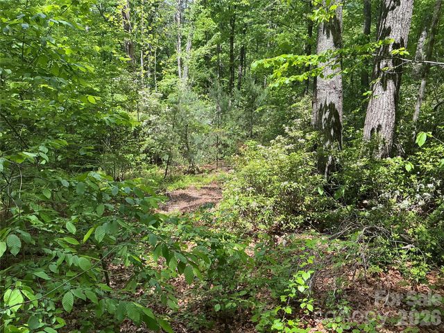 00 Green River Cove Road, Saluda, NC 28773