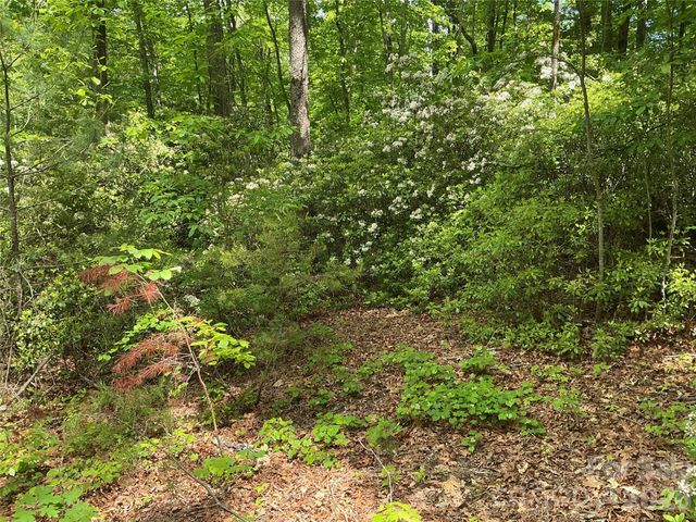 00 Green River Cove Road, Saluda, NC 28773