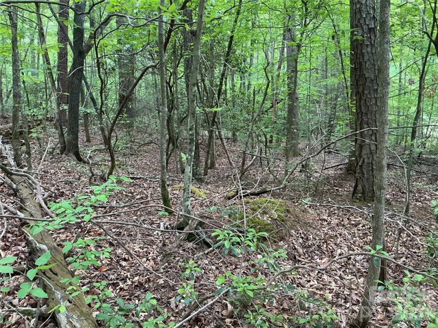 00 Green River Cove Road, Saluda, NC 28773