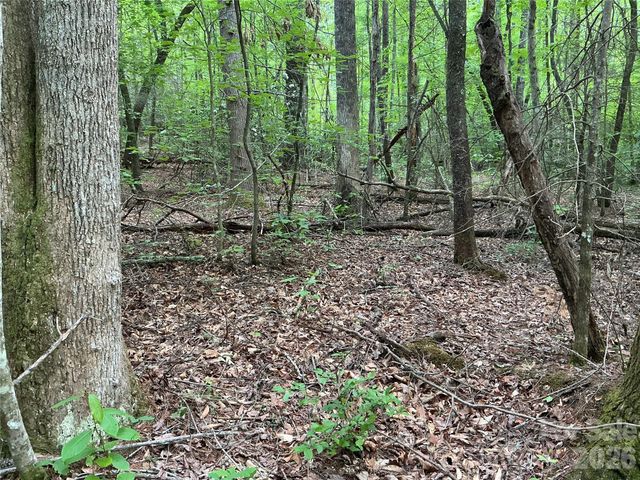 00 Green River Cove Road, Saluda, NC 28773