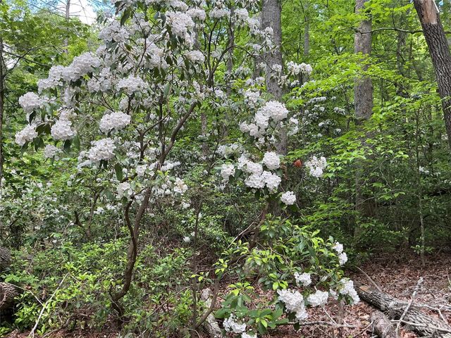 00 Green River Cove Road, Saluda, NC 28773