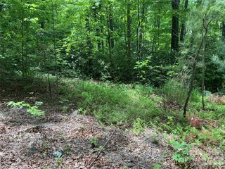00 Green River Cove Road, Saluda, NC 28773