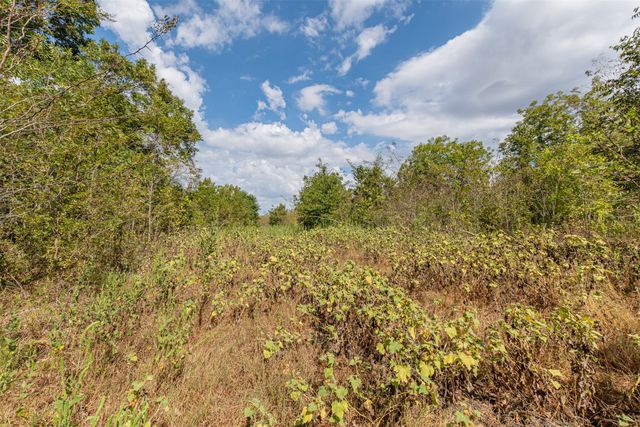 TBD County Road 3226, Lone Oak, TX 75453