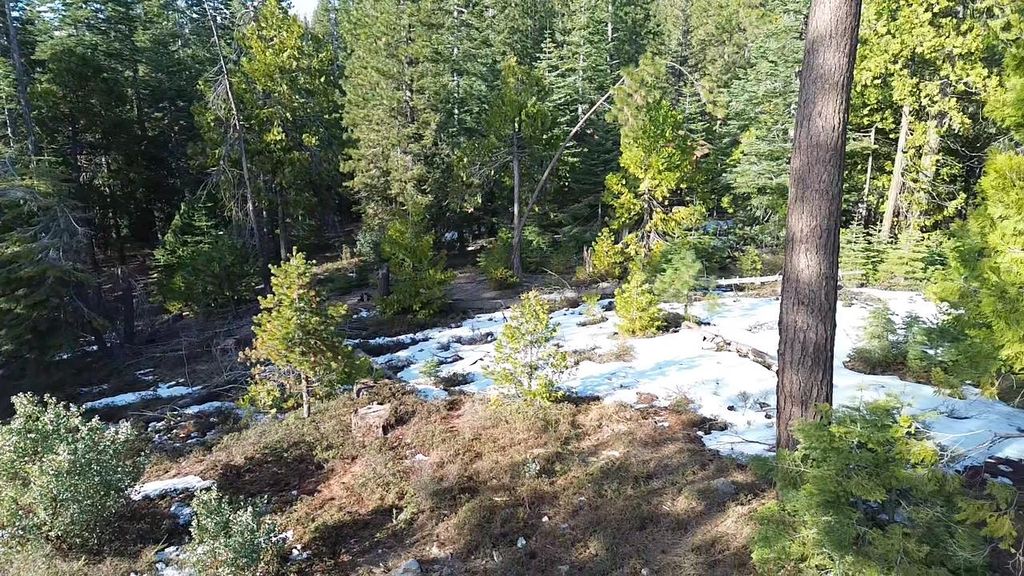 Image 10 of property listing at 40672 Leopard Lilly Lane, Shaver Lake, CA 93664