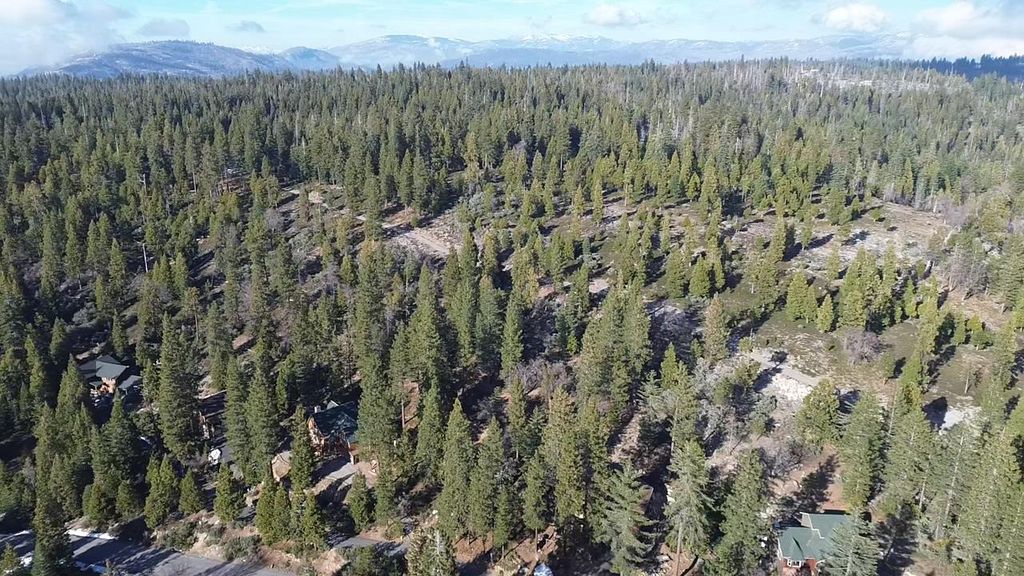 Image 13 of property listing at 40672 Leopard Lilly Lane, Shaver Lake, CA 93664