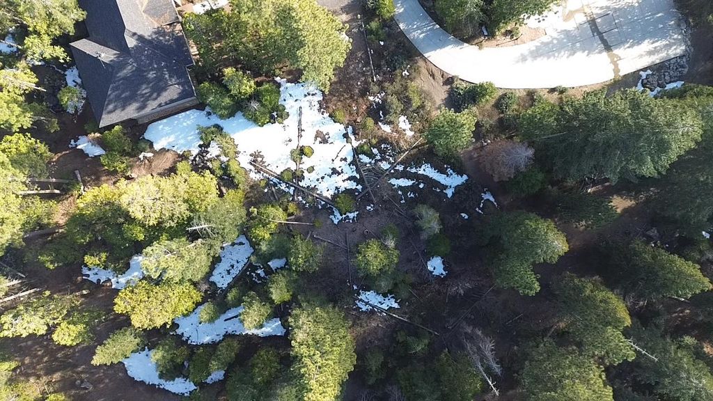 Image 3 of property listing at 40672 Leopard Lilly Lane, Shaver Lake, CA 93664