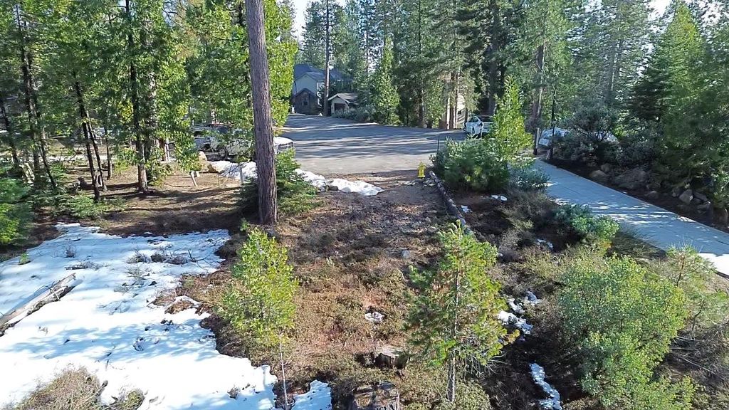Image 6 of property listing at 40672 Leopard Lilly Lane, Shaver Lake, CA 93664