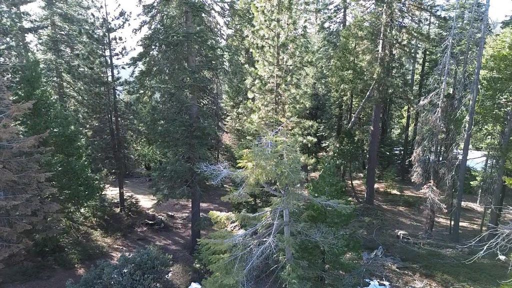 Image 7 of property listing at 40672 Leopard Lilly Lane, Shaver Lake, CA 93664
