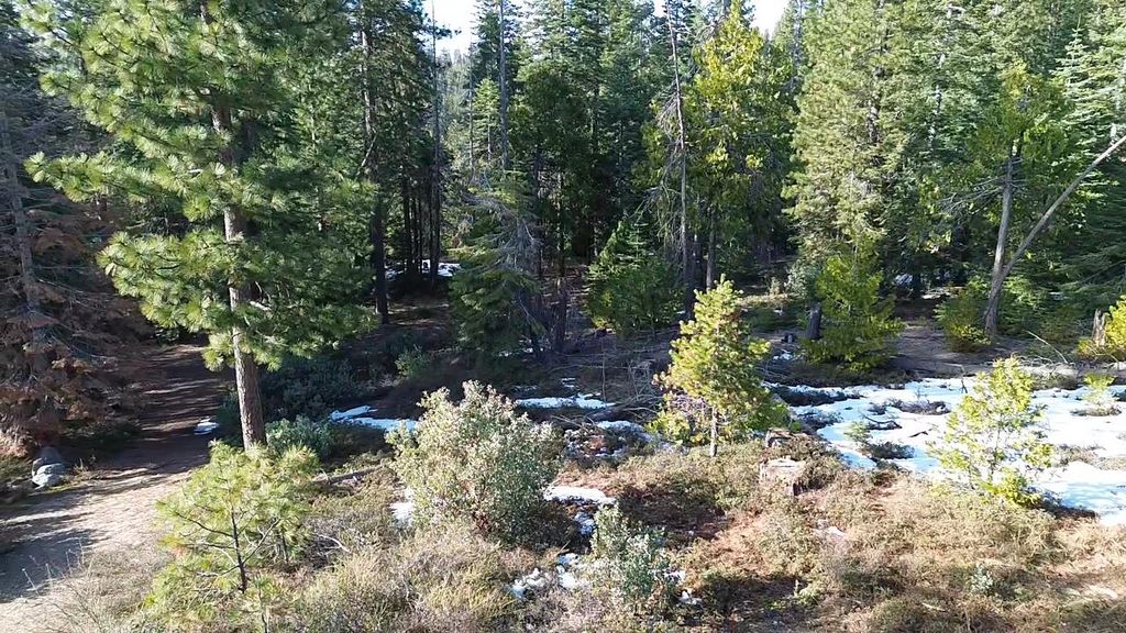 Image 8 of property listing at 40672 Leopard Lilly Lane, Shaver Lake, CA 93664