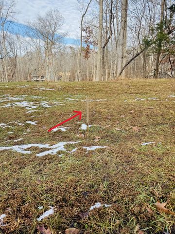 Lot 55 Ridgeway CT, Moneta, VA 24121