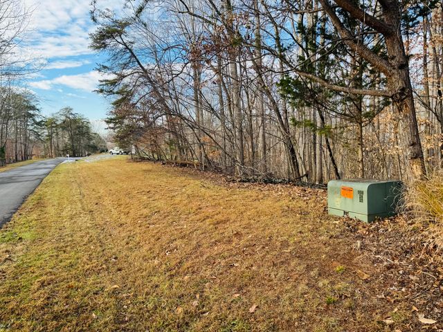 Lot 55 Ridgeway CT, Moneta, VA 24121