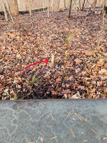 Lot 55 Ridgeway CT, Moneta, VA 24121