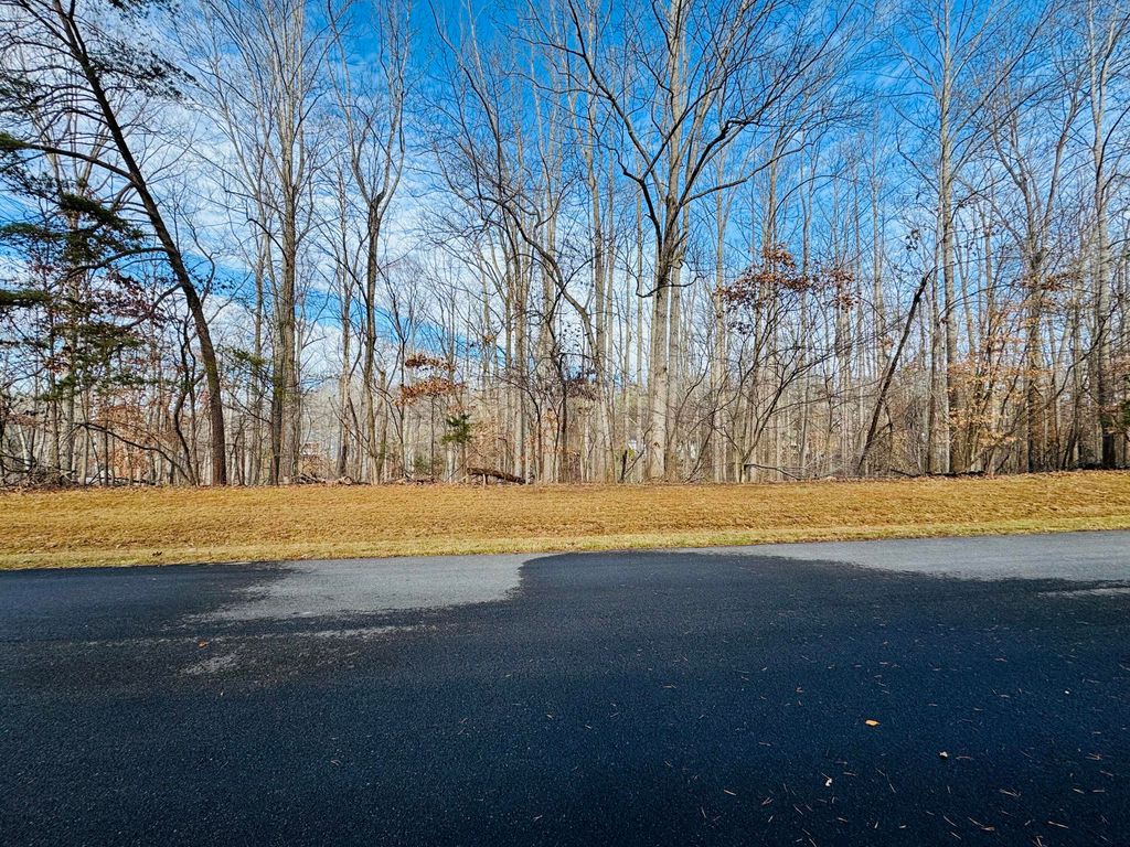 Lot 55 Ridgeway CT, Moneta, VA 24121