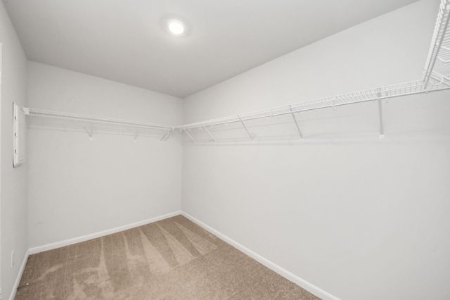 16362 Sweet Grove Drive, Conroe, TX 77303