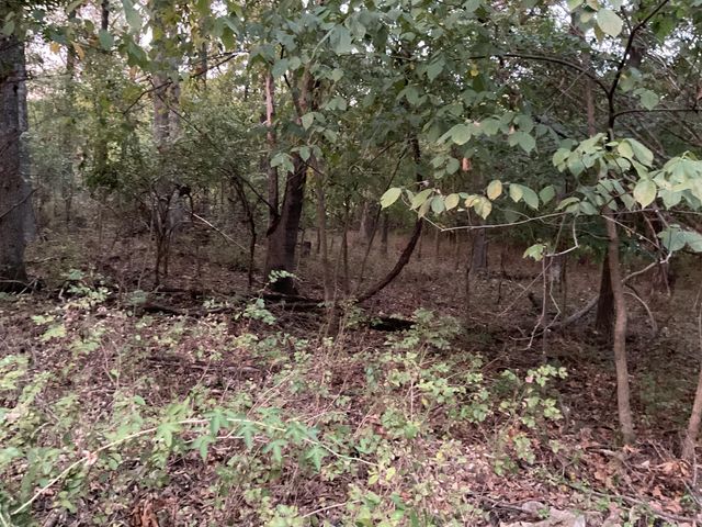 000-Trct 4 N Farm Road 89, Springfield, MO 65802