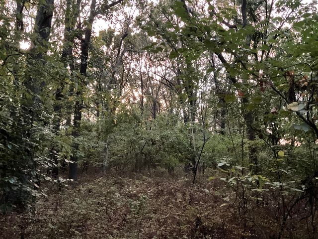 000-Trct 4 N Farm Road 89, Springfield, MO 65802