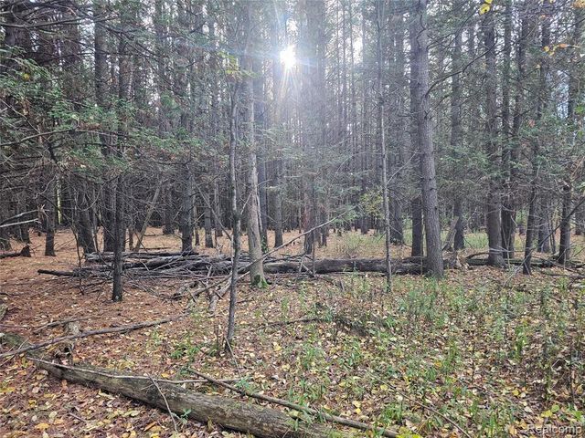 4901 M-55, Tawas City, MI 48763