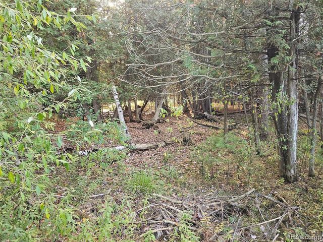 4901 M-55, Tawas City, MI 48763