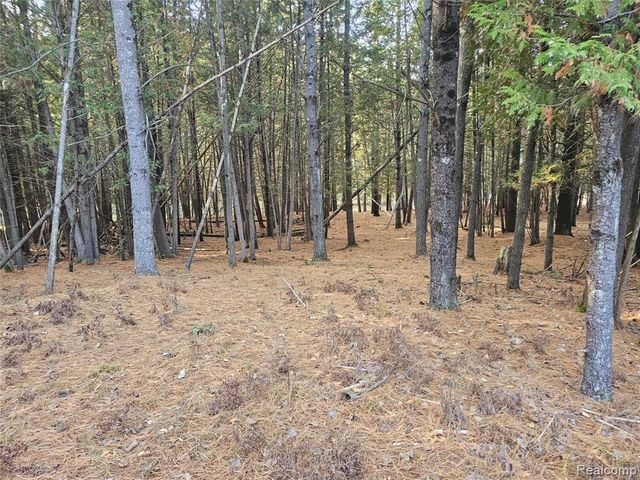 4901 M-55, Tawas City, MI 48763