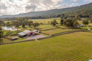 4892 CRAWFORD COVE ROAD, Springville, AL 35146