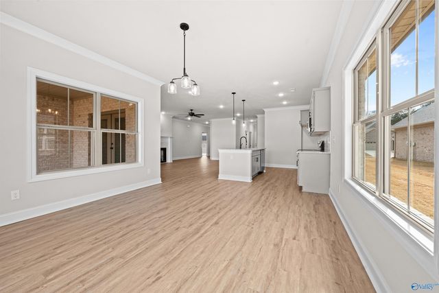 111 Alton Dale Drive, Toney, AL 35773