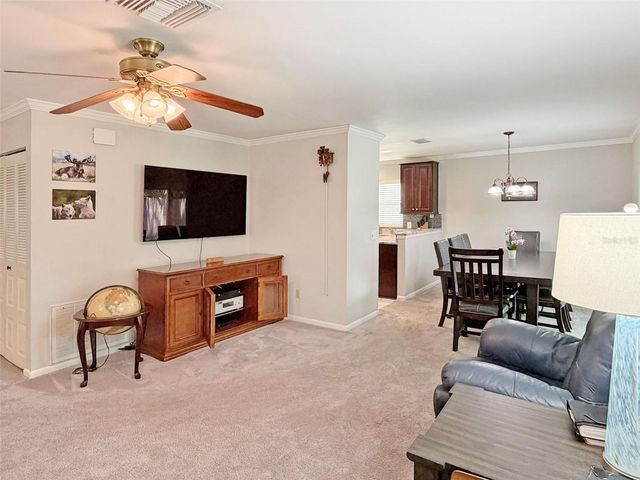 8521 MISTY RIVER COURT, Tampa, FL 33637