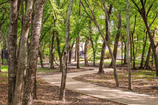 920 White River Drive, Allen, TX 75013