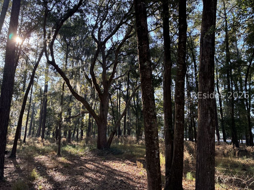 6008 Green Pond Dr, Beaufort, SC 29906