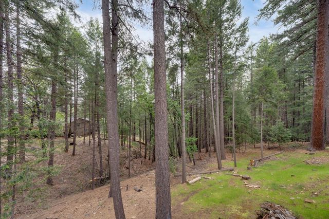5531 Begonia Dr, Pollock Pines, CA 95726