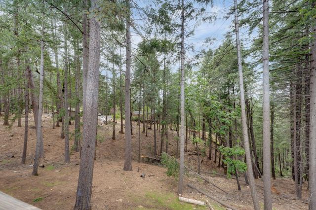 5531 Begonia Dr, Pollock Pines, CA 95726
